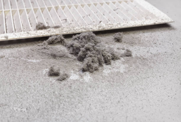 Best Home Air Vent Cleaning  in Standish, MI