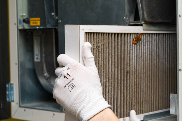 Best Air Duct Cleaning Near Me in MI