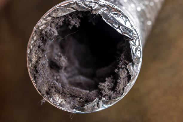 Best Ventilation Cleaning Services  in Standish, MI
