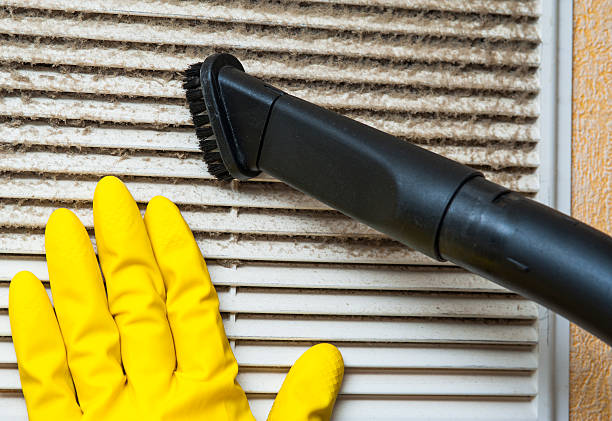 Best Commercial Air Duct Cleaning  in Standish, MI