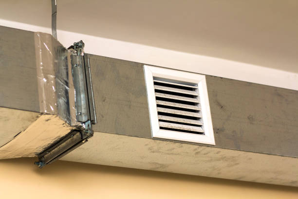 Best Air Duct Inspection  in Standish, MI